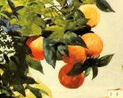温斯洛荷默 - Oranges on a Branch